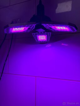 Led svetla grow/bloom, rast/kvet 200w - 3