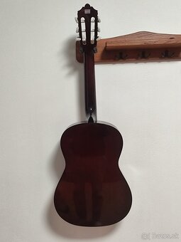 Gitara Ashton - 3