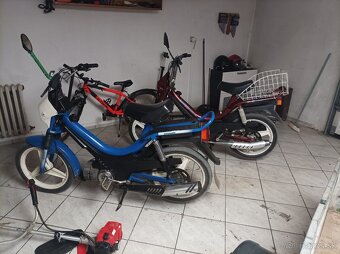 Manet Korado - 3