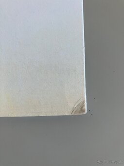 LP Beastie Boys - License To Ill - 3