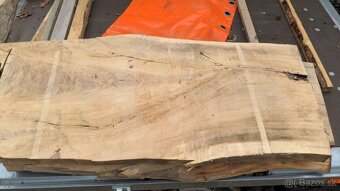 Brestové fosne sušené 6 rokov - 3