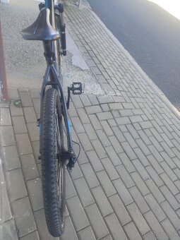 Kellys Spider 70 "29 - 3