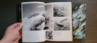 2 x knihy o potápaní - krásny stav - 3