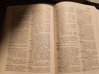 Slovensko-ruske slovníky - 3