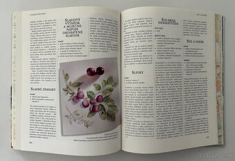 ZBIERKA KUCHÁRSKYCH KNIH A KNÍH O STRAVOVANÍ - 3