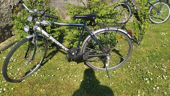 Pánsky bicykel Vertec TR 810 - 3