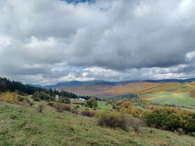 Ustajnenie,výcvik,preprava,ošetrenie koni-dornovou metódo - 3