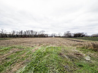 RezervovanéNa predaj stavebný pozemok v obci Baloň - 3