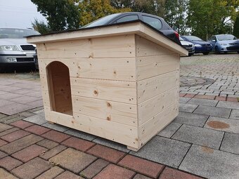 Búda pre psa - 3