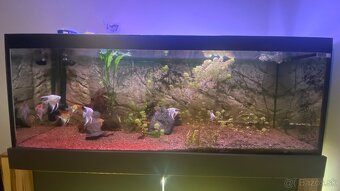 Set dvoch akvárií - 3