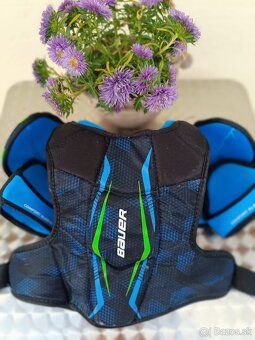 Chranice Ramien Bauer - 3