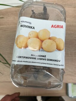 Sadbove zemiaky - 3