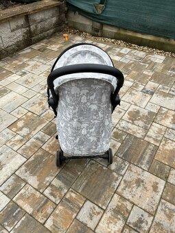 Petite and Mars up - 3