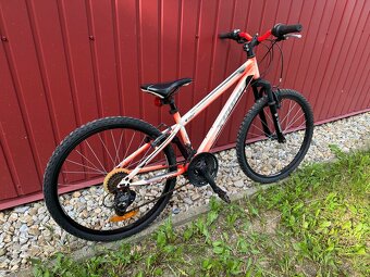 Bicykel detsky 24 TEAM - 3