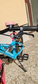Bicykel Author Record 16 - 3
