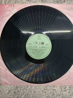 V zelenej záhradke, v zelenom domci - 3