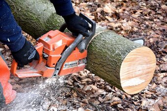 🌲 Čistenie pozemkov, výrub, mulčovanie – spoľahlivo SN, LE, - 3