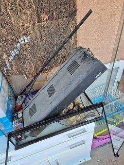 Terárium 60x92x45 - 3