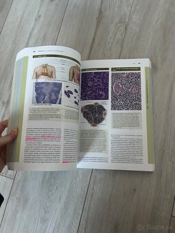 Janqueirove základy histológie - 3