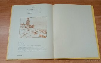 Finist jasný sokol - 3