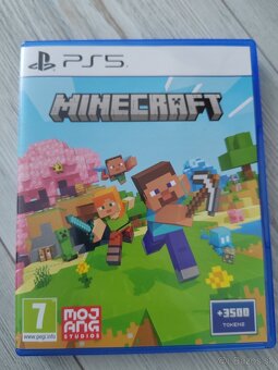 Minecraft playstation 5 - 3