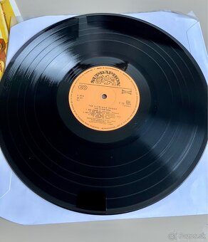 LP The Flamingo Group - This Is Our Soul - 3