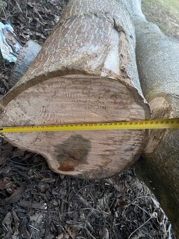 Orechové drevo na predaj - 3