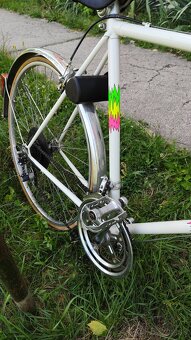 Bicykel eska premier (favorit) - 3