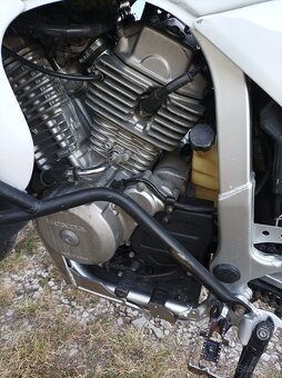 Honda transalp XL600 - 3