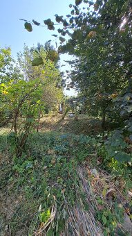 Na predaj pekná záhradka s chatkou - 3