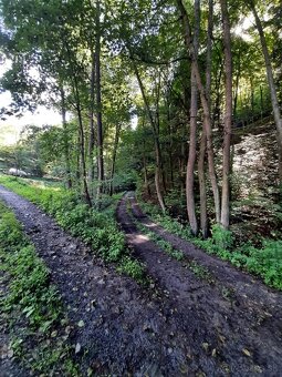 Predám pozemok pri lese Banská Hodruša - 3