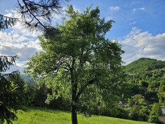 Predaj - rekreácia - Krásny pozemok pre náročných… - 3