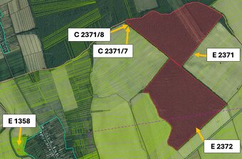 Trhovište – 11.445 m2 ORNÁ PÔDA a LESY - komasácia - 3