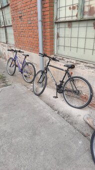 Dámsky bicykel ZOOM - 26” - 3