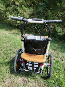 Thule chariot - 3
