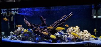 Akvarium Juwel RIO 240L + oase biomaster thermo 850 - 3