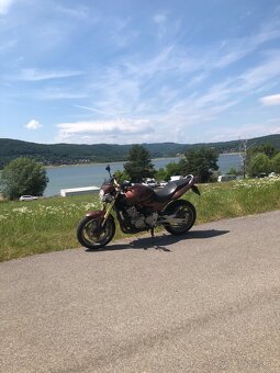 Honda Hornet 600 - 3