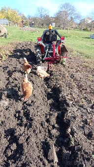 Predám pluh obracák za malotraktor. - 3