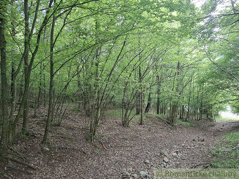 NOVÁ CENA  Rozsiahle lesné pozemky v Podpoľaní - 3