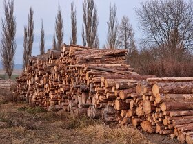 Palivové drevo,  odrezky - 3