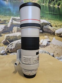 Canon EF 300mm f/4L IS USM - 3