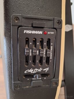 Nashville Ovation - 3