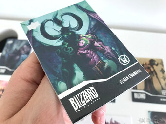Blizzard Legacy Collection - kartičky - 3