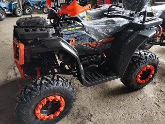 Ranger 300RR - 3
