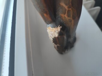 Bytové dekorácie - 3