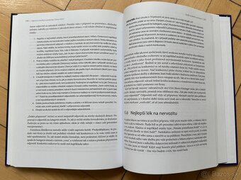 Tajemství skvělých prezentací Steva Jobse za 5EUR - 3
