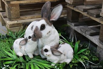 Záhradné zajačiky - 3