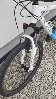 Bicykel Author - 3
