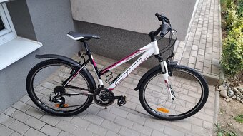 CTM TERRANO LADY - 3