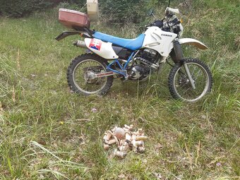 Yamaha 350 xt - 3
